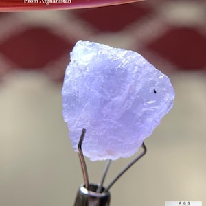 Puede incluir: Un cristal de Hackmanita de color púrpura claro de Afganistán, sostenido por una herramienta de metal. El cristal pesa 13,20 ct. El fondo está borroso, con un patrón rojo y blanco visible en la parte superior. Un logotipo con una gema roja está en la esquina inferior derecha.