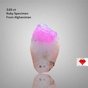 Op de afbeelding: Een robijn exemplaar uit Afghanistan, 3,65 ct. De edelsteen heeft een roze en witte kleurovergang, met een helder roze bovenkant. De ruw gesneden steen wordt gepresenteerd tegen een lichtgrijze achtergrond.