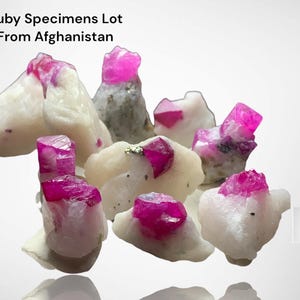 Puede incluir: Una colección de especímenes de rubí de Afganistán. La imagen muestra varios cristales de rubí en bruto y sin cortar con vibrantes tonos rosas y rojos, sobre un fondo de roca blanca. El texto "Ruby Specimens Lot From Afghanistan" es visible.