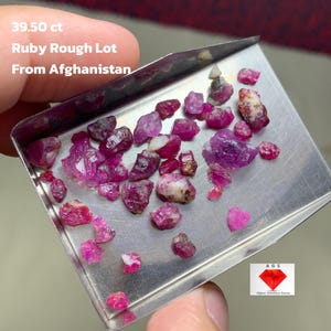 Può includere: Una collezione di gemme di rubino grezzo, per un totale di 39,50 ct, esposta su un piccolo vassoio di metallo. I rubini sono in varie tonalità di rosa e rosso. Il testo sull'immagine recita "Ruby Rough Lot From Afghanistan."