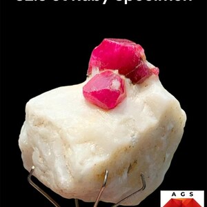 Pode incluir: Um espécime de rubi de 82,3 ct com estruturas cristalinas vibrantes de cor vermelho-rosado profundo incrustadas numa grande matriz mineral opaca de cor branco-sujo. O espécime é segurado por um suporte metálico, com o texto 82.3 ct Ruby Specimen acima.