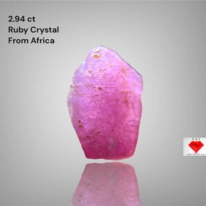 Puede incluir: Cristal de rubí rosa en bruto de África, con un peso de 2,94 quilates. La gema tiene una superficie rugosa y texturizada y una forma natural irregular. El rubí se muestra sobre un fondo gris claro con su reflejo visible debajo.