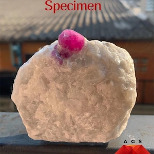 Giant Beautiful 2130 ct Ruby Specimen from Afghanistan