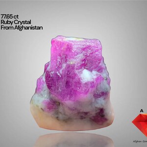 May include: A vibrant, raw ruby crystal from Afghanistan, weighing 77.65 ct. The gemstone displays a rich pink hue with white and tan inclusions. The image includes text that reads "77.65 ct Ruby Crystal From Afghanistan."