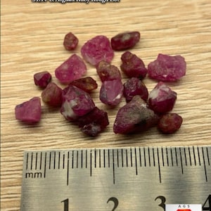 31.14 ct Afghan Ruby Rough Lot – Red Crystals with Natural Beauty & Form