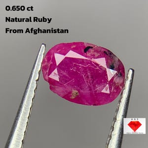 Könnte beinhalten: Ein natürlicher Rubin aus Afghanistan, 0,650 ct, gehalten von einer Pinzette. Der Edelstein ist ein leuchtendes, rötliches Pink mit sichtbaren Facetten und Einschlüssen. Der Text auf dem Bild lautet "0,650 ct Natural Ruby From Afghanistan."