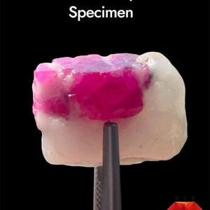 Puede incluir: Un espécimen de rubí de 40 ct que presenta una sección cristalina de color rojo rosado intenso y vibrante incrustada en una matriz mineral blanca, lisa y opaca. La piedra bruta está sujeta por pinzas de metal gris oscuro sobre fondo negro.
