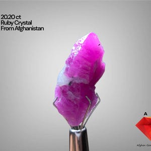 Puede incluir: Un vibrante cristal de rubí rosa de Afganistán, con un peso de 20,20 ct, está sujeto por una pinza metálica. La gema tiene una textura natural rugosa y se encuentra sobre un fondo gris claro. El texto en la imagen dice "20.20 ct Ruby Crystal From Afghanistan".