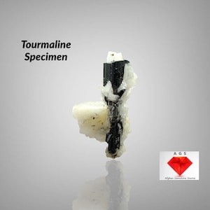 20 ct Black Tourmaline Specimen Combined With feldspar from Skardu, Pakistan