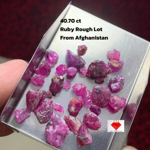 Puede incluir: Un conjunto de gemas de rubí en bruto, con un peso total de 40,70 ct, exhibidas en una pequeña bandeja de metal. Los rubíes varían en tamaño y forma, mostrando una gama de tonos rosados y rojizos. El texto dice "Ruby Rough Lot From Afghanistan".