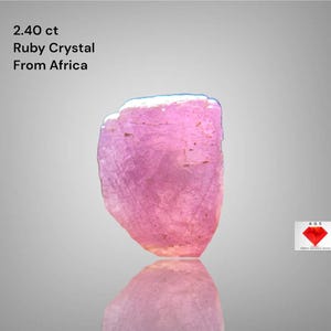 Puede incluir: Un cristal de rubí rosa en bruto de África, que pesa 2,40 quilates. La gema tiene una superficie rugosa y texturizada y se refleja en la superficie inferior. La imagen incluye el texto "2.40 ct Ruby Crystal From Africa."