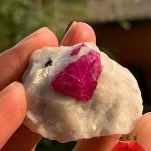 Pode incluir: Um espécime de rubi de 156 ct com um rubi cristalino vermelho-rosado vibrante incrustado numa matriz branca opaca e rugosa. O texto 156 ct Ruby Specimen é visível no topo e um logótipo A G S com um diamante vermelho na base.