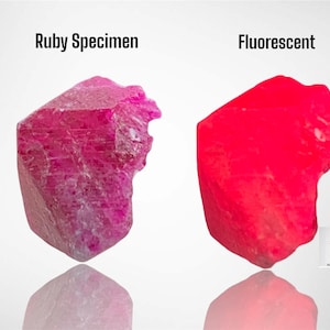 May include: Two ruby specimens are displayed, one under normal light and the other under fluorescent light. The first is a deep pink, while the second glows a vibrant red. The image includes the text "Ruby Specimen" and "Fluorescent".