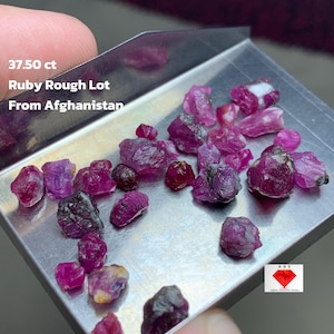 Puede incluir: Un conjunto de gemas de rubí en bruto, con un peso total de 37,50 ct, exhibidas en una pequeña bandeja de metal. Los rubíes varían en tamaño y forma, mostrando tonos rojos profundos y violáceos. El texto dice: "Ruby Rough Lot From Afghanistan."