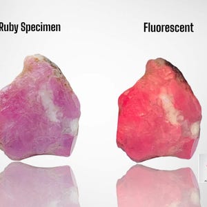 May include: Two ruby specimens, one in natural light and the other under a fluorescent light. The ruby under fluorescent light appears a brighter pink.