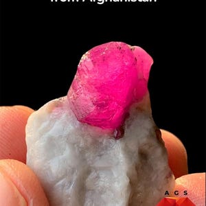 May include: A 42 ct ruby specimen from Afghanistan featuring a vibrant, translucent pinkish-red crystal formation embedded in a textured, opaque white matrix. The text reads: Amazing 42 ct Ruby Specimen from Afghanistan, with an AGS logo below.