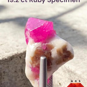 Puede incluir: Un espécimen de rubí de 19,2 ct con una sección superior cristalina de color rosa vibrante y translúcido unida a una base de matriz blanca y marrón. La gema está sujeta por pinzas metálicas e incluye el texto 19.2 ct Ruby Specimen y A G S.