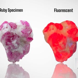 May include: A side-by-side comparison of a ruby specimen under normal light and under a UV lamp. The ruby specimen is a pink-red color with white inclusions. Under the UV lamp, the ruby specimen glows a bright red.