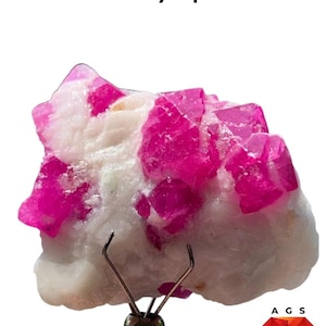 May include: A 96.1 ct ruby specimen featuring vibrant magenta-pink crystalline structures embedded within a white, opaque mineral matrix. The raw gemstone is held by a metal prong tool, with the text 96.1 ct Ruby Specimen and an A G S logo visible.