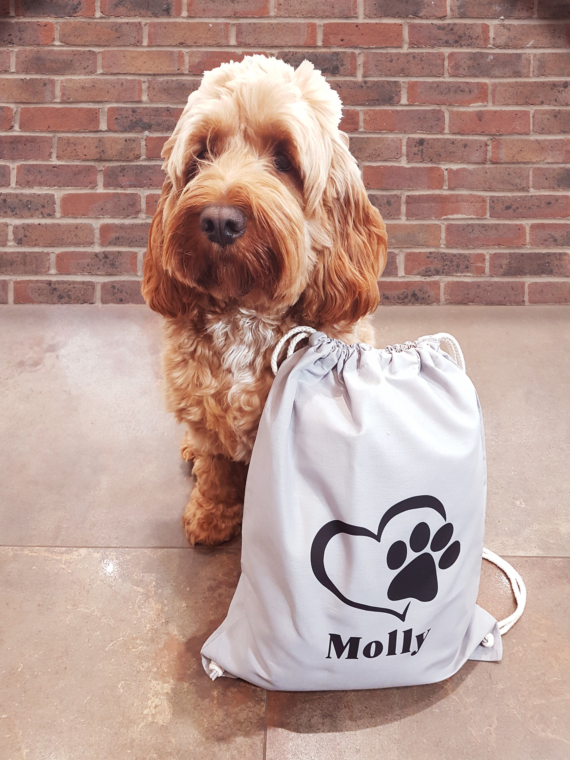 Personalised Dog Walking Kit Personalised Dog Walking Bag Etsy