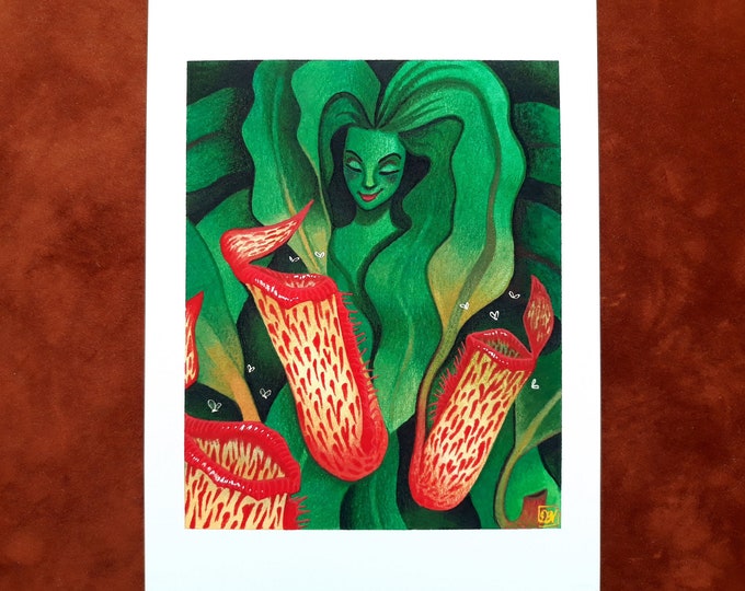 Carnivorous Plant Illustration - Pitcher Plant - Watercolor Art Print ...