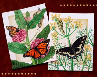 Butterfly Art Print set - Watercolor Painting illustration - Monarch & Black Swallowtail butterfly - Plants and flowers art - Insects