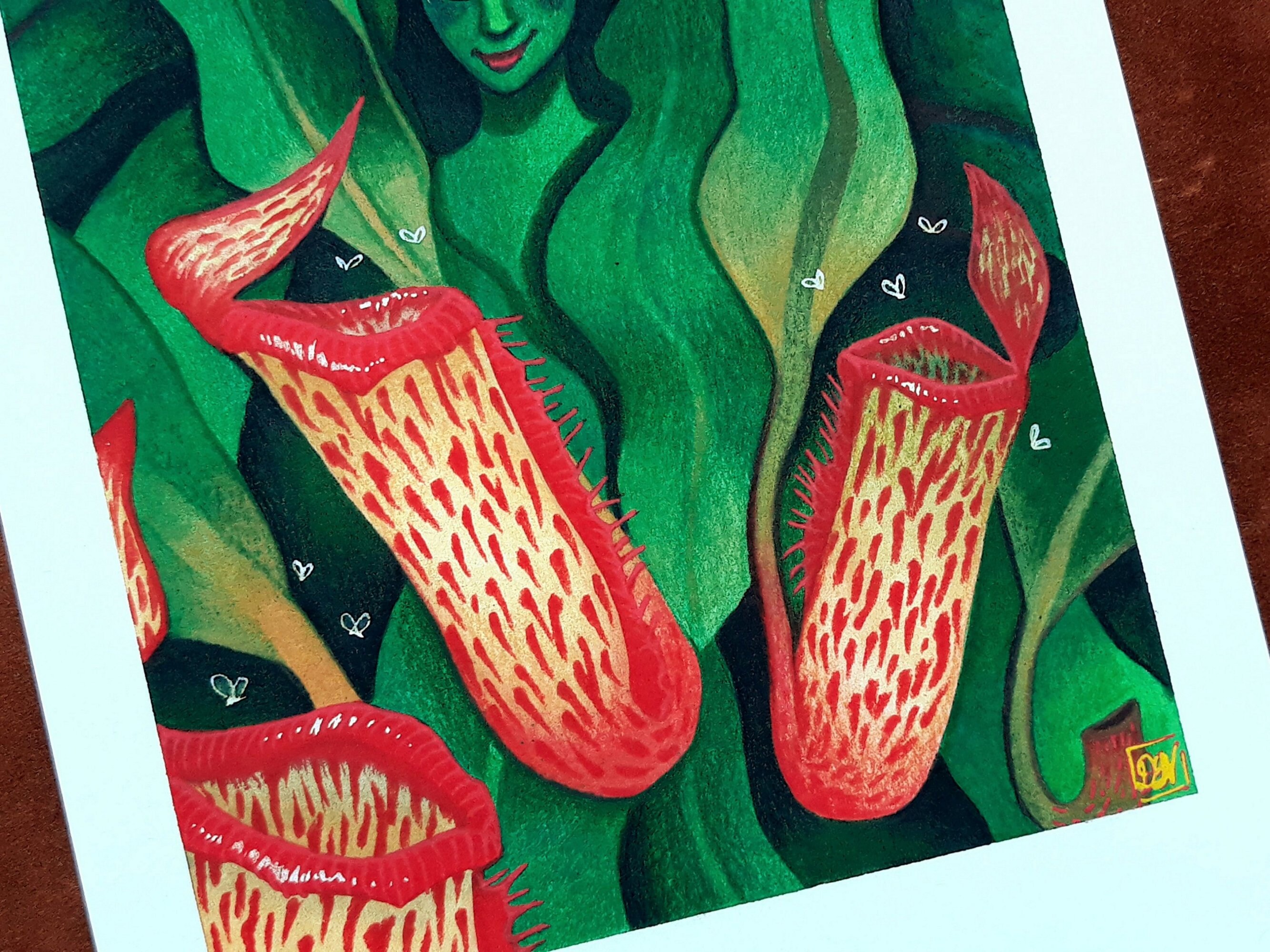 Carnivorous Plant Illustration - Pitcher Plant - Watercolor Art Print ...