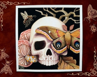 Skull with Polyphemus Moth Watercolor Art Print - Illustration Gothic - 6x6 square - Halloween Wall Hangings - Nature Still Life Painting