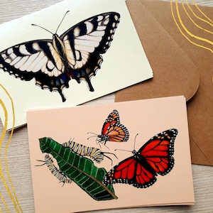Cartões postais de borboletas - Borboletas monarca e tigre rabo de andorinha - Arte primavera/verão - Ilustração de insetos - Pinturas da natureza - Insetos