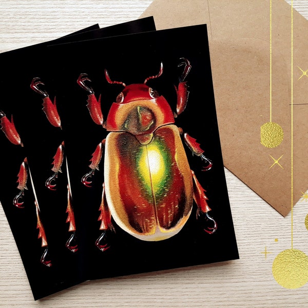 Golden Beetle Postcard - 4x6 Postcards - Insect Illustration - Insect Art - Small Art - Glossy cardstock paper