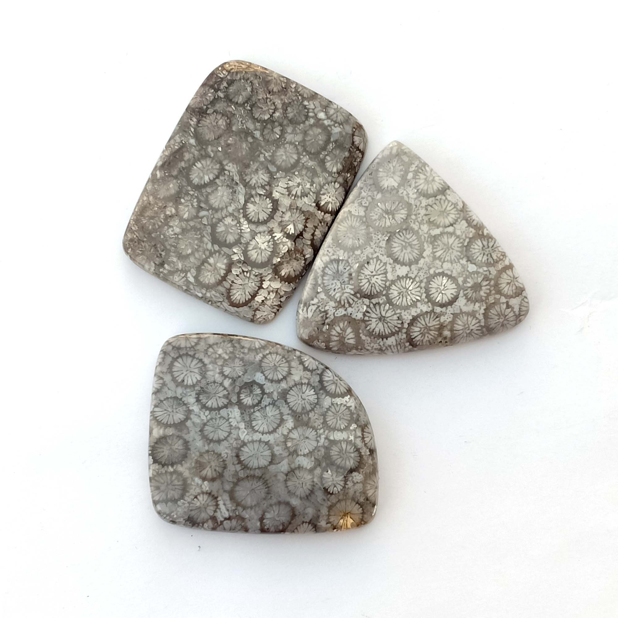 Making - and Good Coral Etsy 3 Pcs Black Lot Good Fossil Design