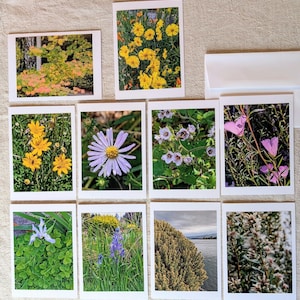 Blank Greeting Cards with Envelopes | PNW Native Flower Greeting Cards | Nature Photography | Wildflower Note Cards | 10 Card Set