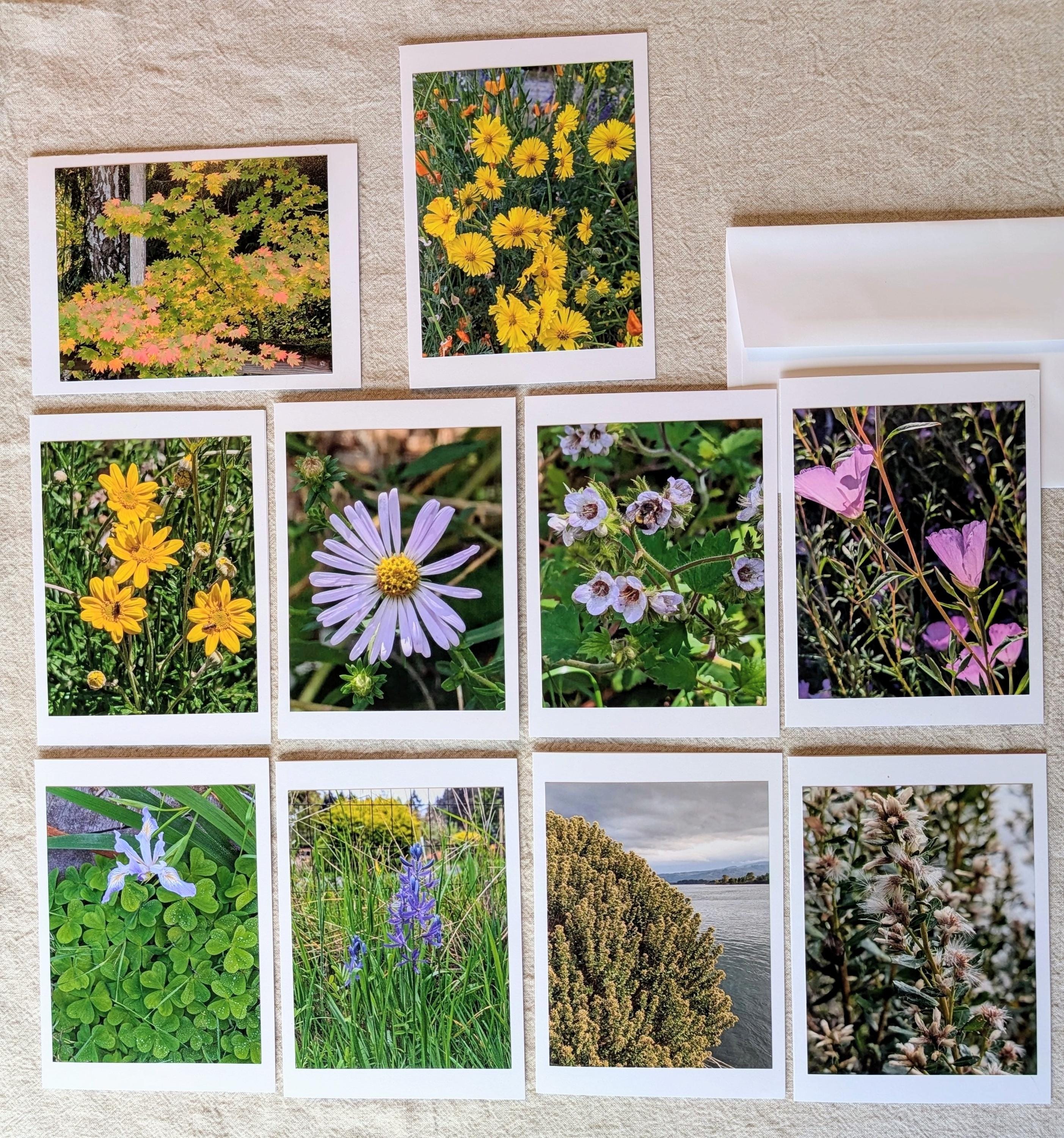 PNW Native Flower Note Cards: Nature Photography, 10 Card Set - Etsy