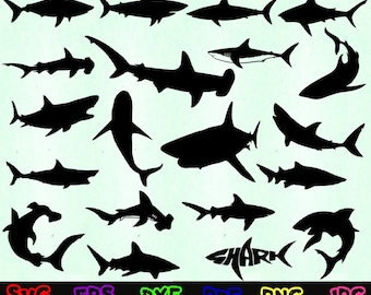 Download Q482rgrkqojcam