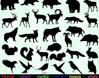 Download Wild Animal Svg Etsy