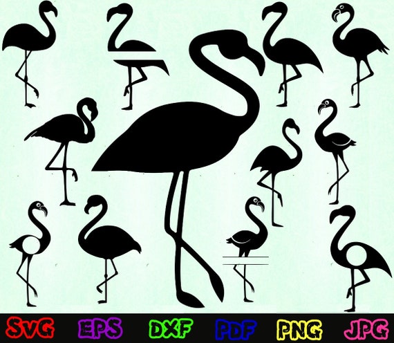 Flamingo Svg - Zoo Svg - Flamingo Silhouette - Flamingo Cut Files - Flamingo Svg Bundle - Flamingo Clipart- Flamingo Design- Flamingo Vector