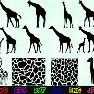 Peut inclure: Un ensemble d'images de silhouettes noires de girafes, y compris une mère et son bébé girafe, et un motif de girafe. Les images sont adaptées à l'artisanat, au scrapbooking et à d'autres projets créatifs.