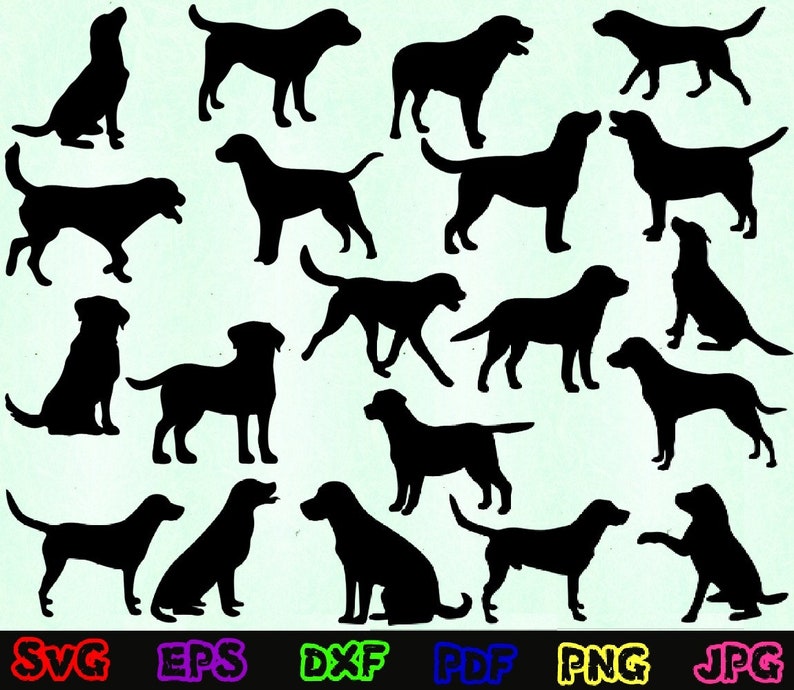 Download Labrador Svg Bundle Labrador Silhouette Labrador Svg Labrador Cut Files Labrador Design Svg Labrador Clipart Labrador Vector Materials Collage Sheets Erfuntahmasbi Ir