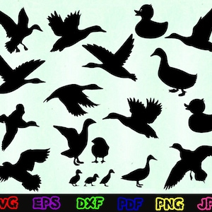 Duck Svg - Animal Svg - Duck Hunting Svg - Duck Hunter Svg - Duck Silhouette - Duck Cut Files - Duck Svg Bundle - Duck Clipart - Duck Design