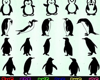 Penguin Svg - Animal Svg - Penguin Silhouet - Penguin Cut Files - Penguin Svg Bundle - Penguin Clipart - Penguin Design - Penguin Vector