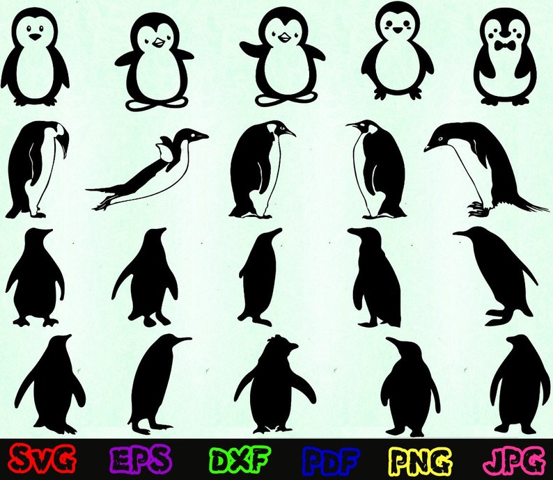 Penguin Svg - Animal Svg - Penguin Silhouette - Penguin Cut Files - Penguin Svg Bundle - Penguin Clipart - Penguin Design - Penguin Vector image 1