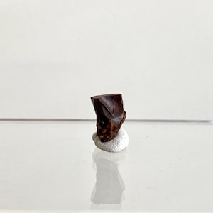 0.54" Triceratops Horridus fossil spitter tooth fragment, dinosaur tooth