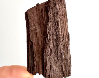 Permineralized Wood Covered In Druzy Quartz (3.29") from Eocene, Germany