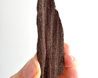 Permineralized Wood Covered In Druzy Quartz (3.39") from Eocene, Germany