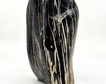 Dipterocarpus species ornament, Petrified wood (6.88") from Indonesia