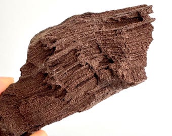 Permineralized Wood Covered In Druzy Quartz (4.43") from Eocene, Germany
