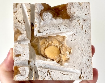 Potamon Fossil Crab on Travertine Matrix (1.33") – Pleistocene period, Turkey