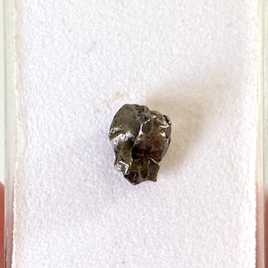 Campo del Cielo Meteorite - small fragment