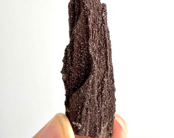 Permineralized Wood Covered In Druzy Quartz (3.30") from Eocene, Germany