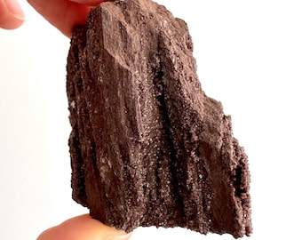 Permineralized Wood Covered In Druzy Quartz (2.72") from Eocene, Germany